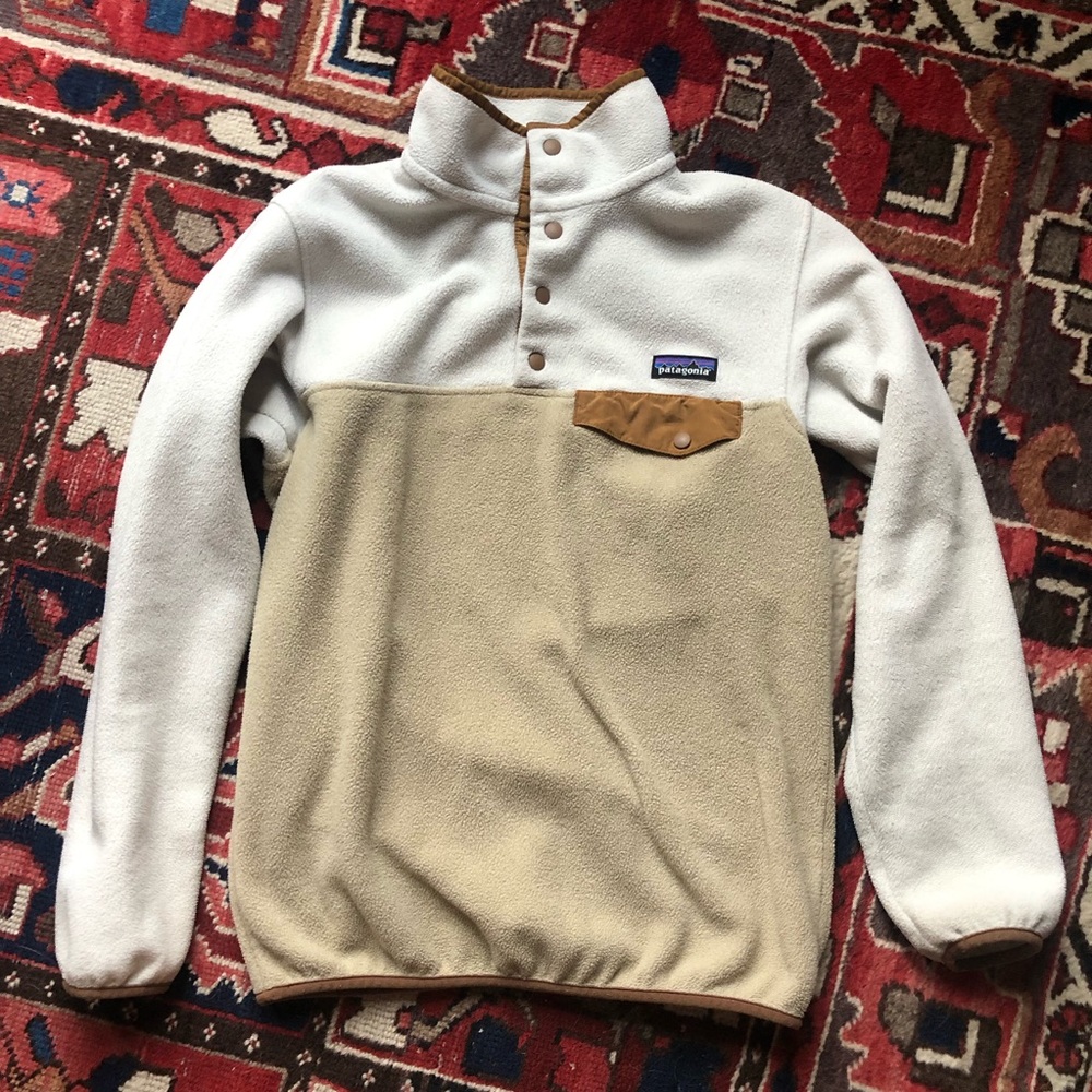 Patagonia Synchilla snap sweater